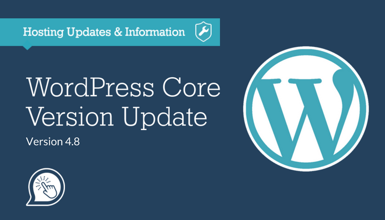 WordPress_Version_Update 4.8 Evans