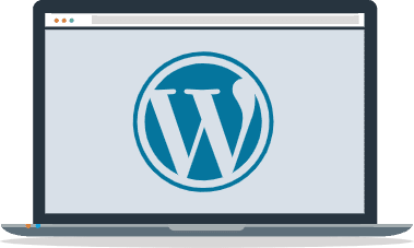 illustration-wordpress-maintenance-standard-features-tips-svg