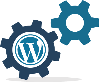 illustration-wordpress-maintenance-standard-features-tips-svg